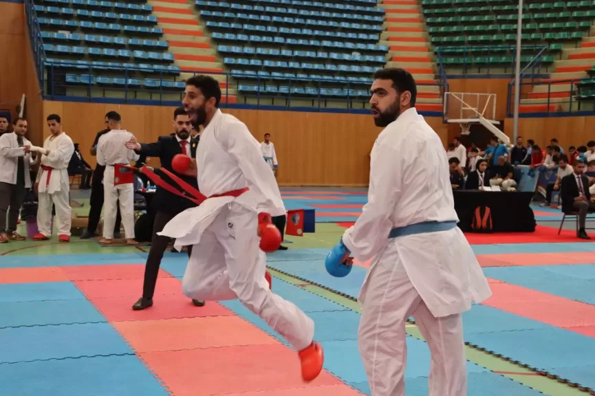 الكاراتيه