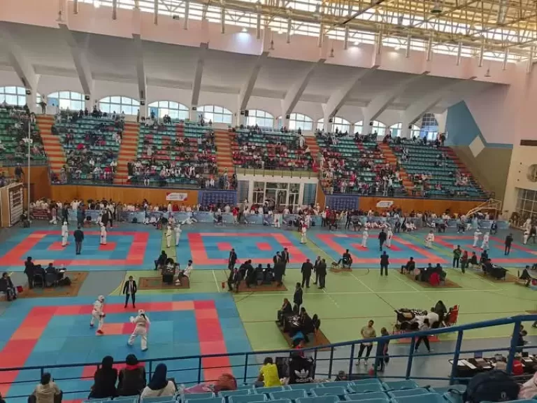 الكاراتيه