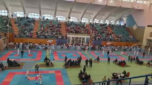 ألعاب آخرى