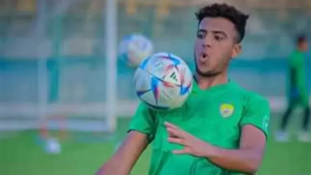 أحمد ربيع
