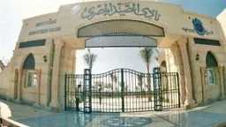 ألعاب آخرى