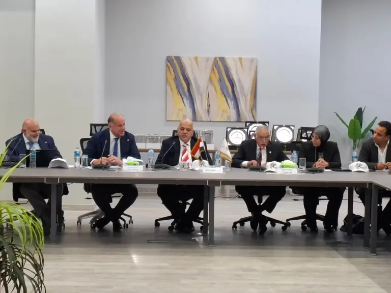 اللواء حازم حسني