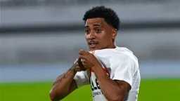 أخبار محلية