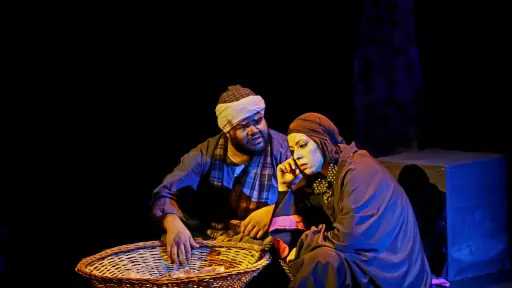 أخبار محلية