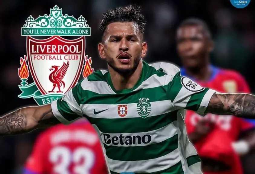 عربي وعالمي