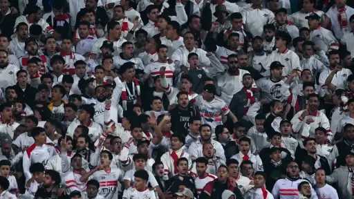 أخبار محلية