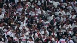 أخبار محلية