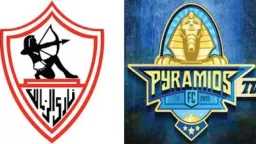 أخبار محلية