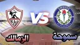 أخبار محلية