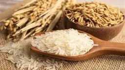 سعر طن الأرز الشعير والأبيض...