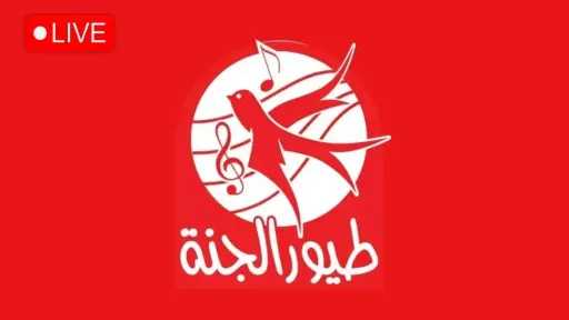 أي خدمة