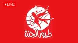أي خدمة