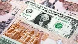 الأخضر ينهار.. سعر الدولار اليوم...