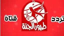 أي خدمة