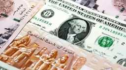 الأخضر في خطر.. سعر الدولار...