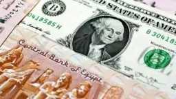 أنهيار الأخضر.. سعر الدولار مقابل...