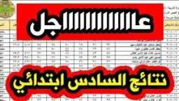أي خدمة