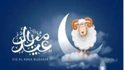 أي خدمة