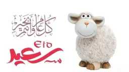 أي خدمة