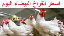 أي خدمة