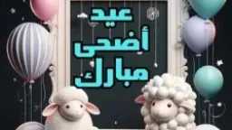 أي خدمة