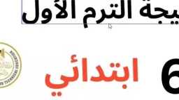 أي خدمة