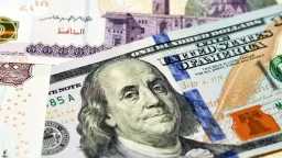 سعر الدولار اليوم في مصر...