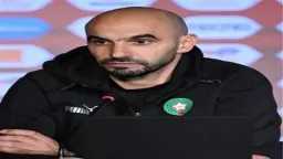 أخبار محلية
